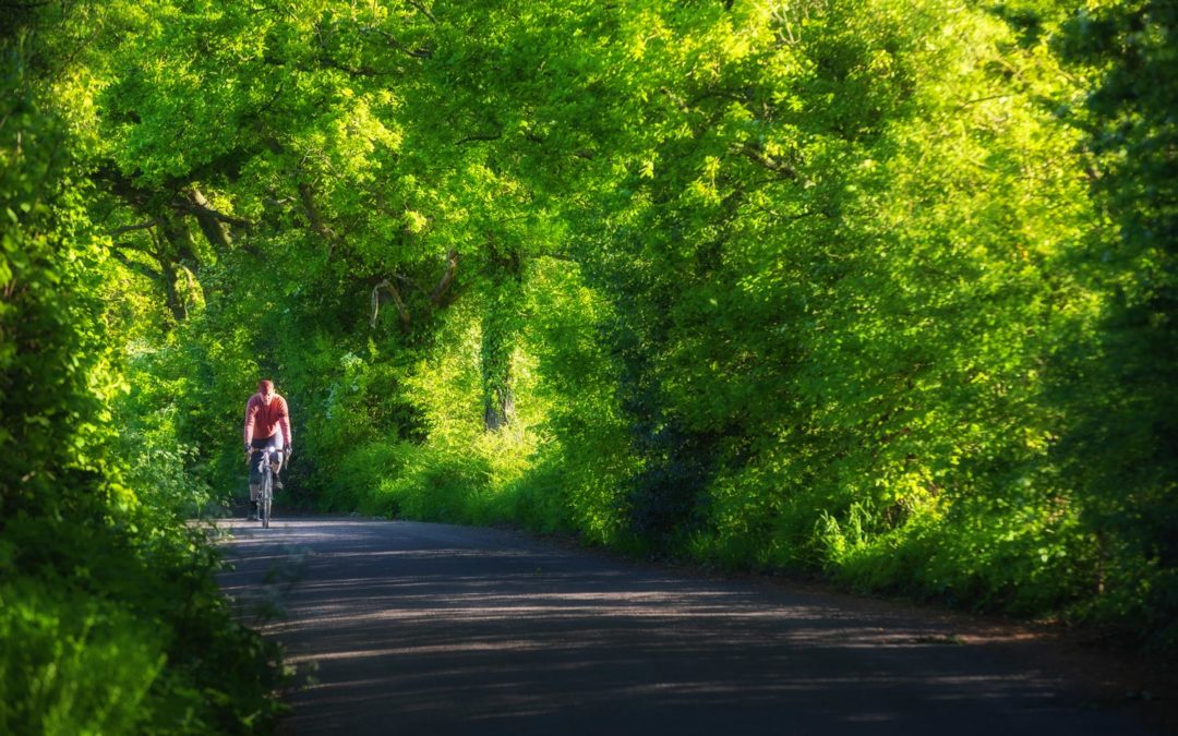 Leafy Sussex