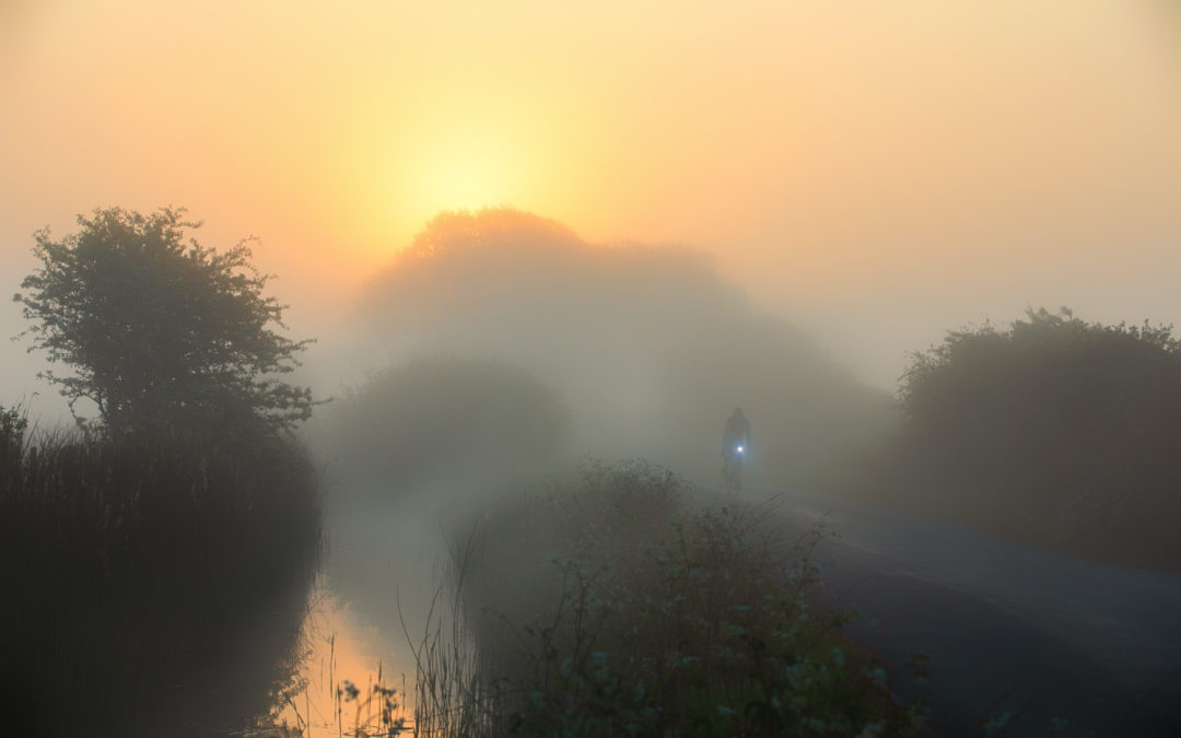 Golden  Mist on The Marsh