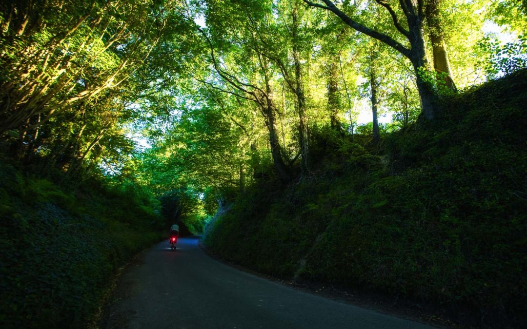 Sunrise Along A Sunken Lane