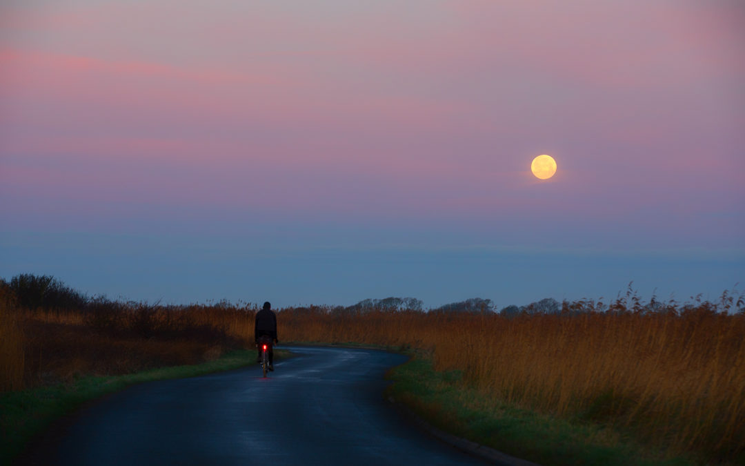 The Beaver Moon