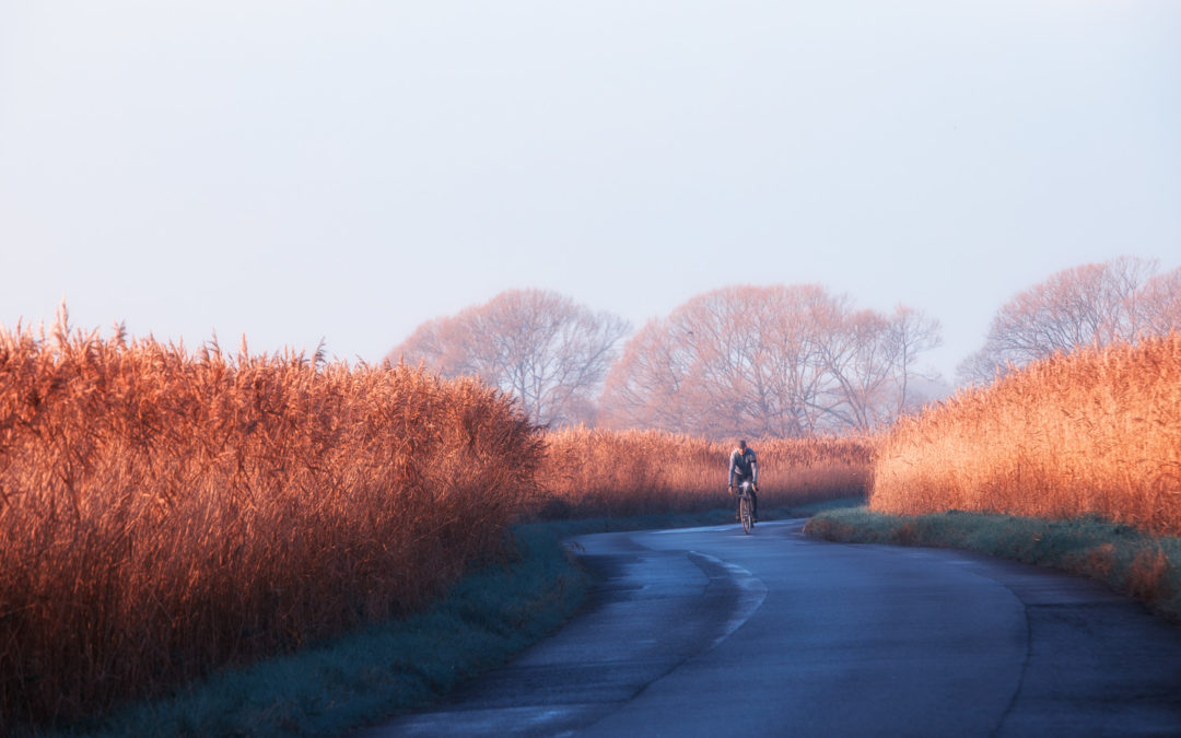 Bright Winter Sunshine, Old Marsh Road, Pevensey