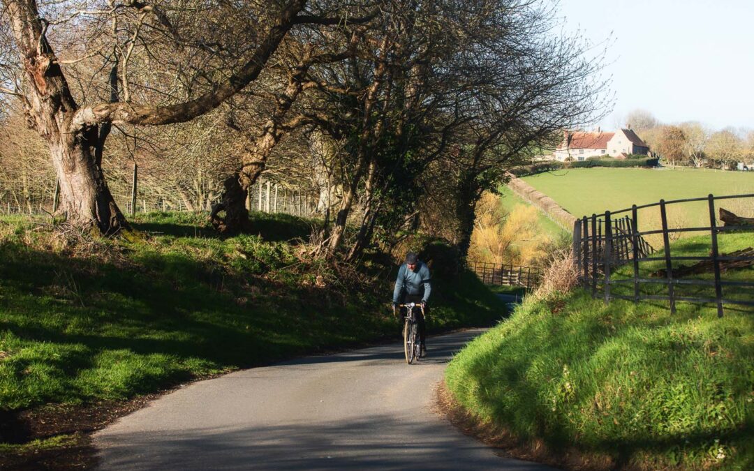 Dappled Light Along A Country Lane, near Winchelsea