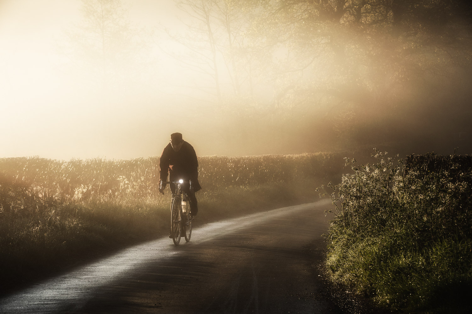 Cyclist pedalling along misty country lane