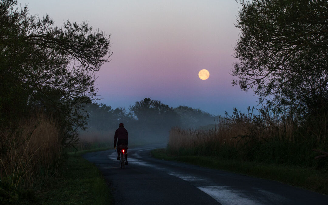 The Flower Moon, Pevensey Marshes
