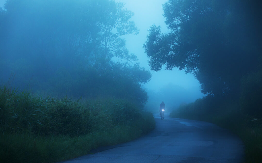 Adventures in The Dark Forest, Sussex