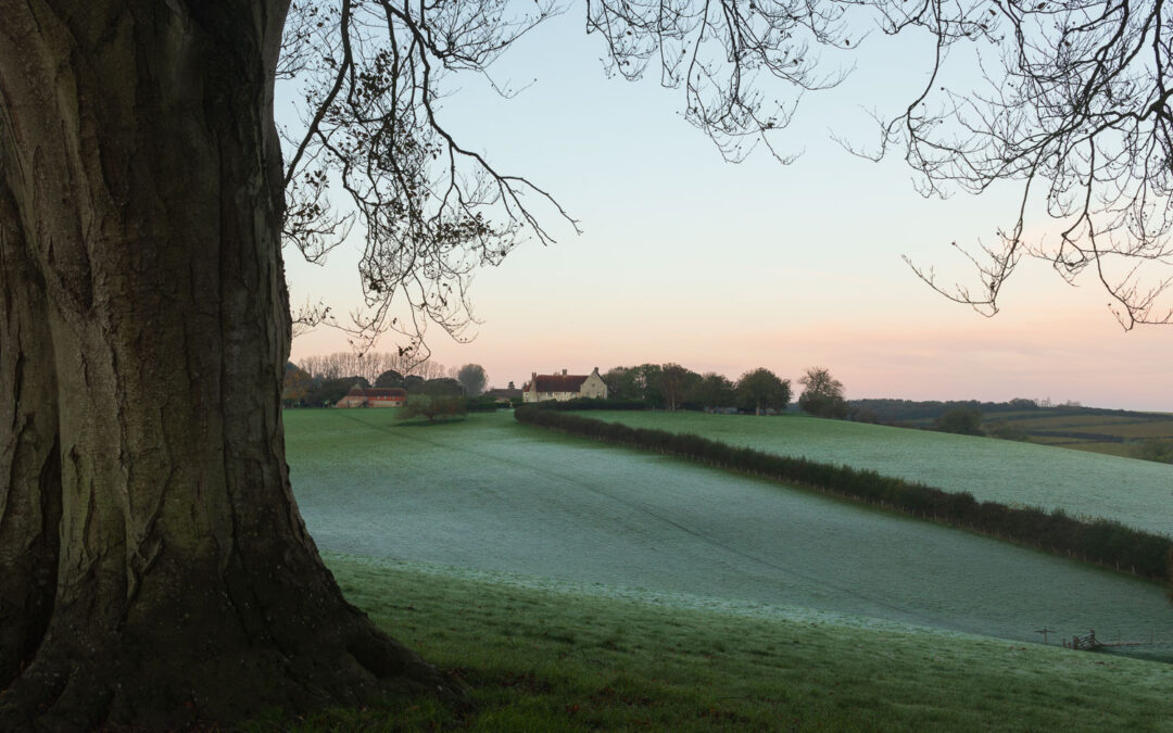 Frosty Autumn Morning, near Winchelsea, East Sussex
