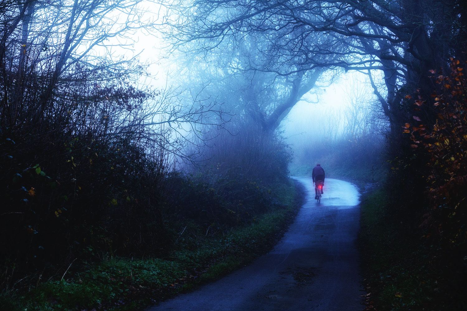 Cyclist pedalling along spooky country lane in a winter fog